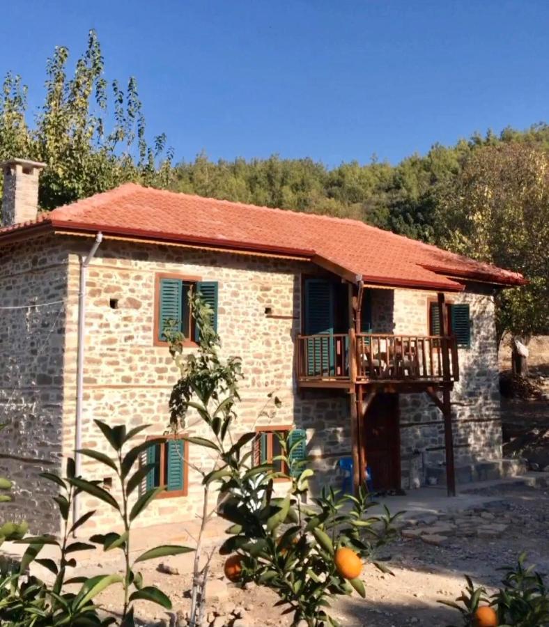 Lovely House In The Heart Of Nature Apartment *