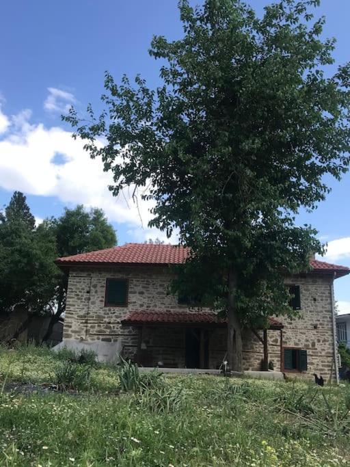 Lovely House In The Heart Of Nature * Serik